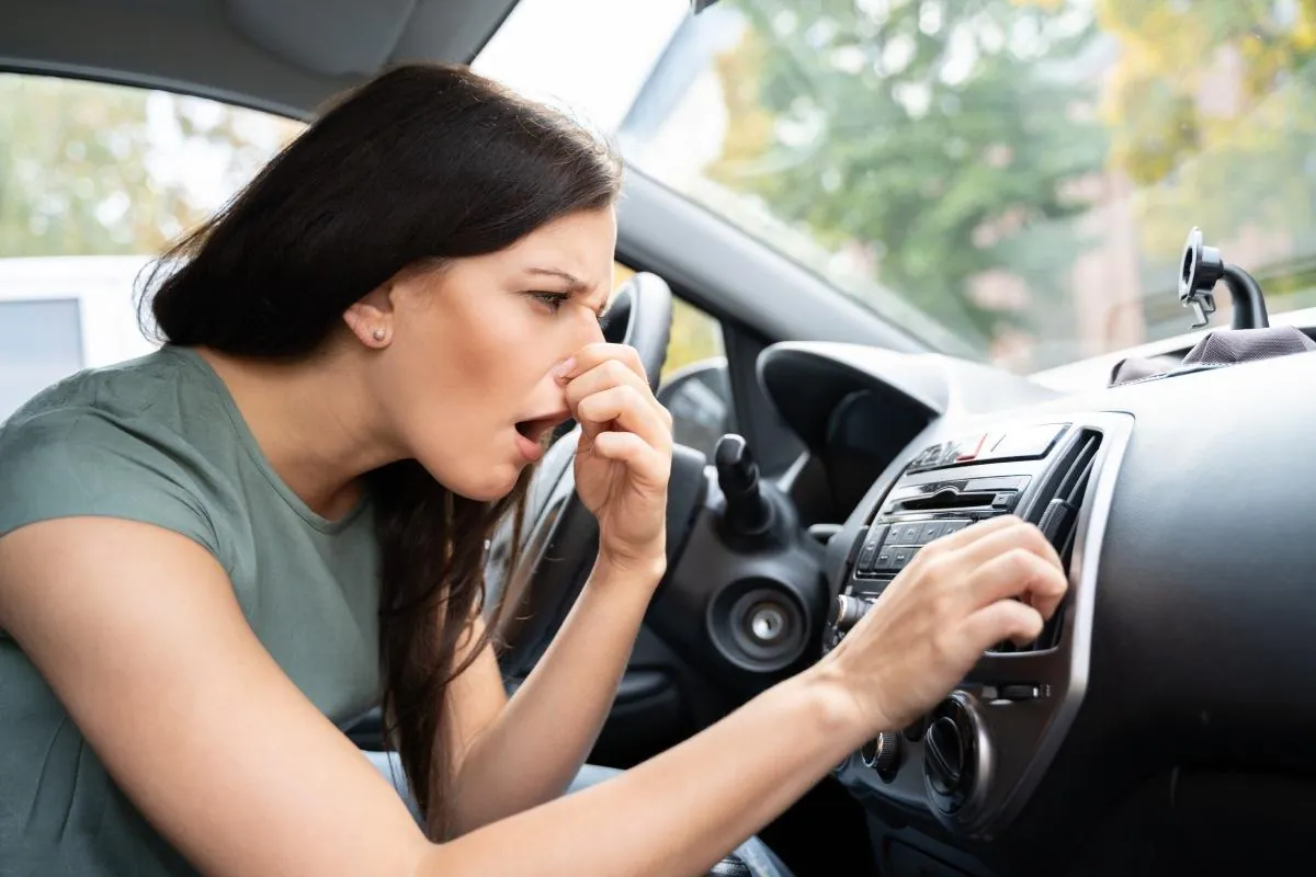 Leather Odor Problems What Works and What Does Not