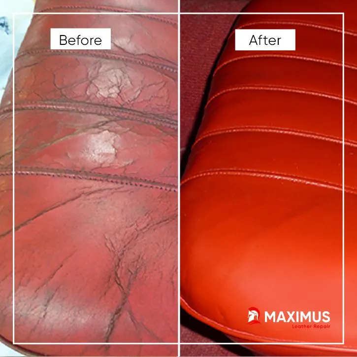 Leather restoration by Maximus